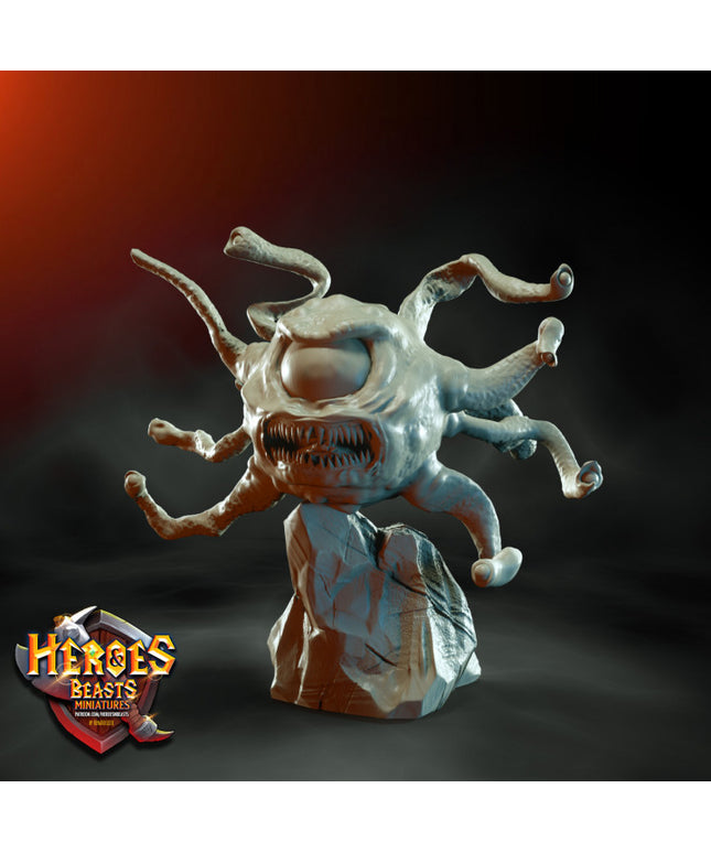 beholder