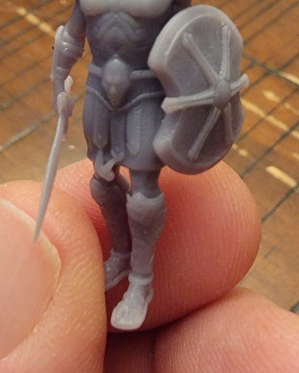 Forgotten Warrior - 1 Figure