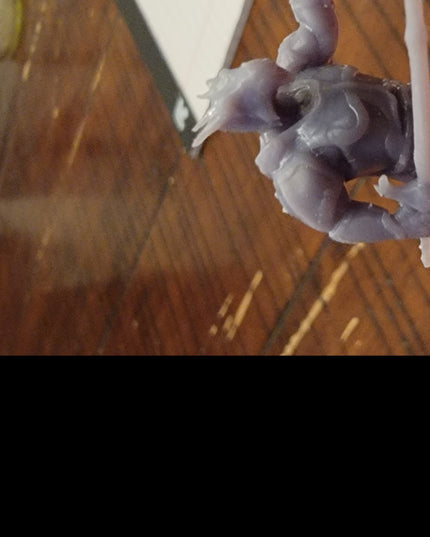 Dragonborn Fighter/Paladin - 1 Figure