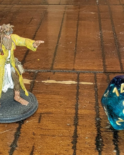 Bohemian Bladesinger Wizard - 1 Figure