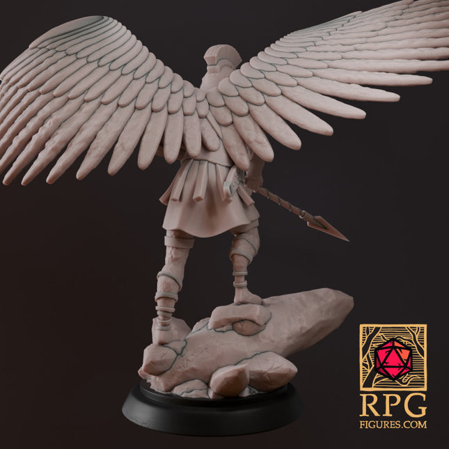 D&D Monsters - Aarakocra