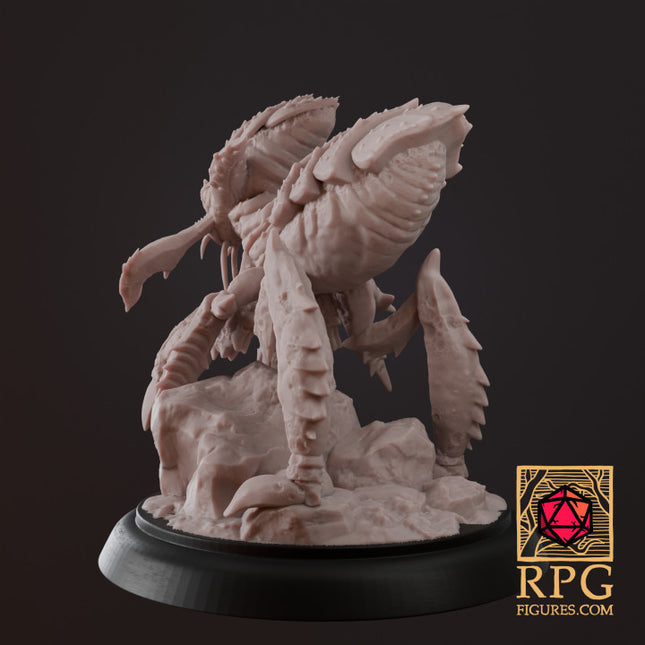 D&D Monsters - Ankheg