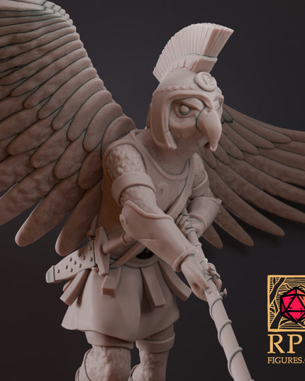 D&D Monsters - Aarakocra