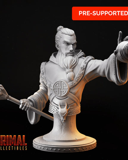 16 busts - complete bundle - MASTERS OF DUNGEONS QUEST