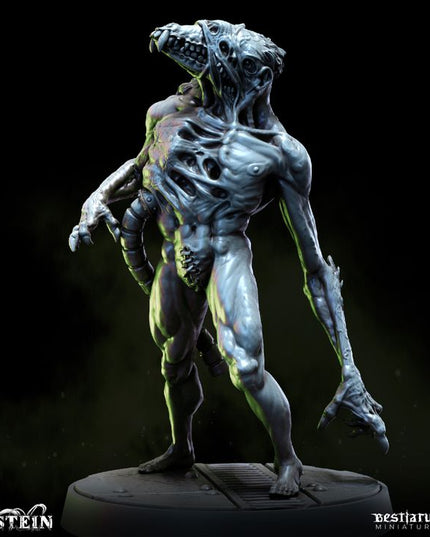 Fleshcrafter's Laboratory: Collection