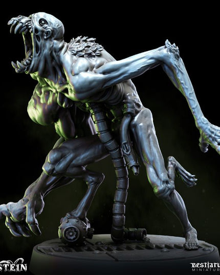 Fleshcrafter's Laboratory: Collection