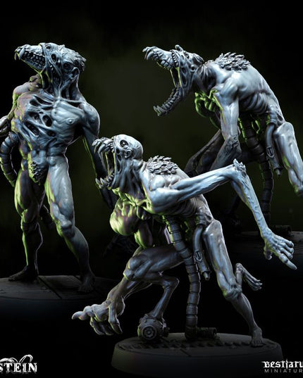 Fleshcrafter's Laboratory: Collection