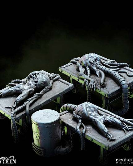 Fleshcrafter's Laboratory: Collection