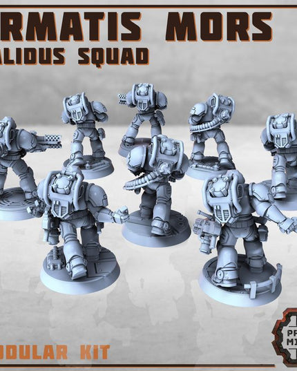 Armatis Mors - Combat Unit