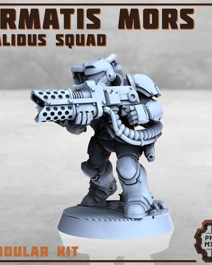 Armatis Mors - Combat Unit