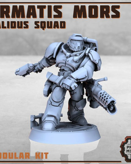 Armatis Mors - Combat Unit