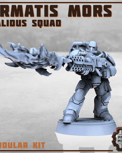 Armatis Mors - Combat Unit