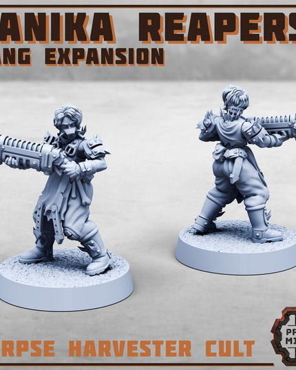 Danika Reapers - Gang Expansion