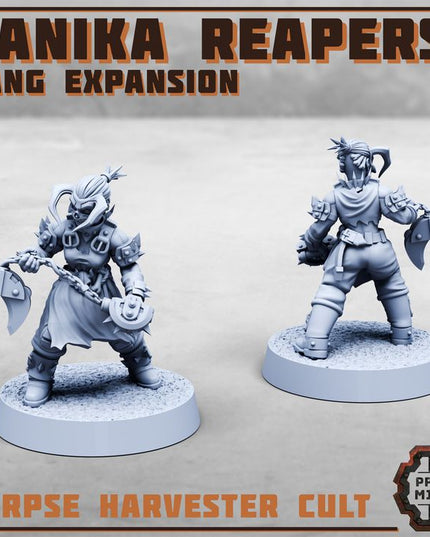Danika Reapers - Gang Expansion