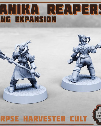 Danika Reapers - Gang Expansion