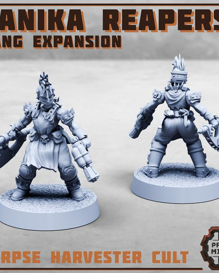 Danika Reapers - Gang Expansion
