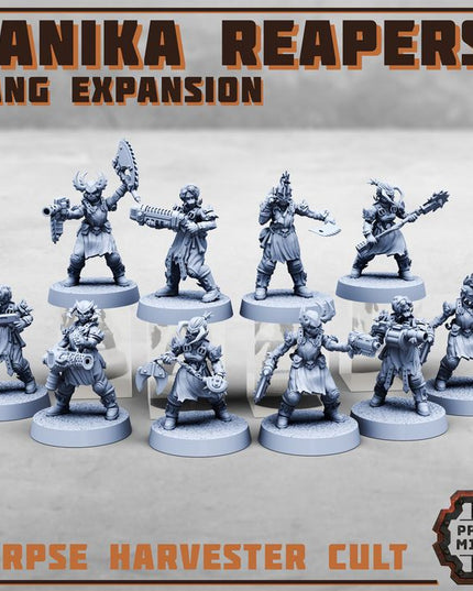Danika Reapers - Gang Expansion