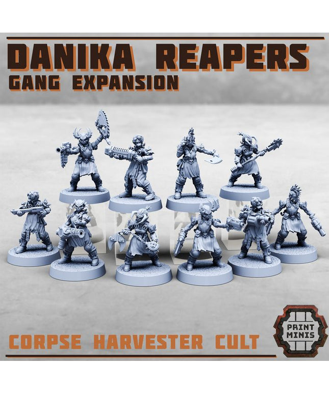 Danika Reapers - Gang Expansion