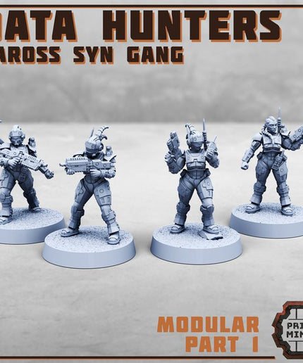Data Hunters - Vaross Syn Gang