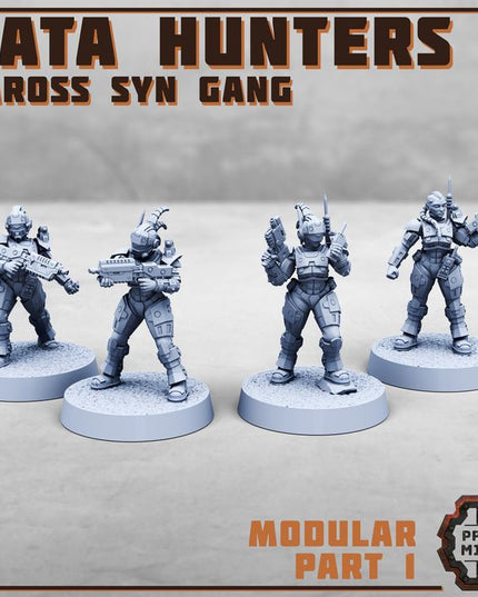 Data Hunters - Vaross Syn Gang