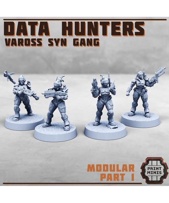 Data Hunters - Vaross Syn Gang