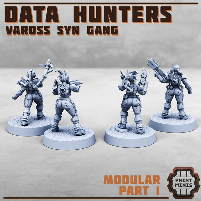 Data Hunters - Vaross Syn Gang