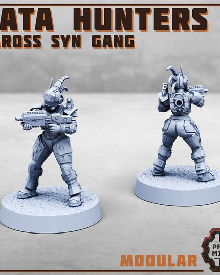 Data Hunters - Vaross Syn Gang