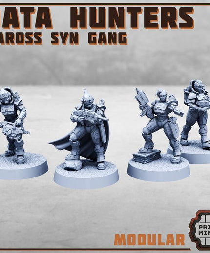Data Hunters 2 - Vaross Syn Gang