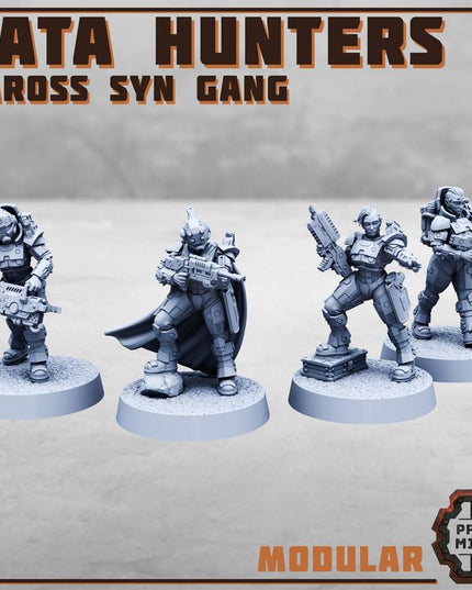 Data Hunters 2 - Vaross Syn Gang