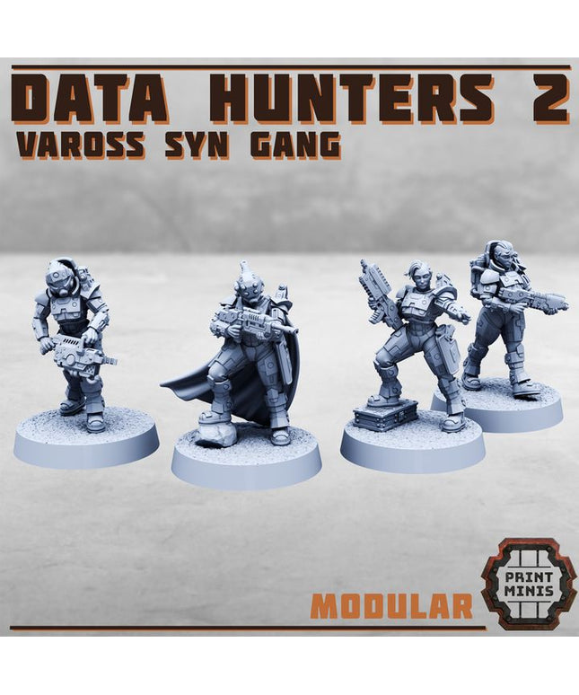 Data Hunters 2 - Vaross Syn Gang