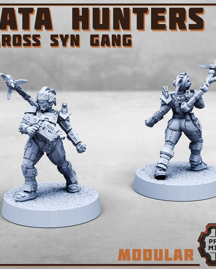 Data Hunters - Vaross Syn Gang
