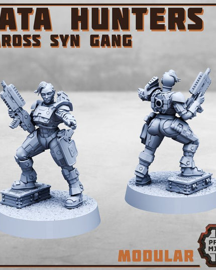 Data Hunters 2 - Vaross Syn Gang