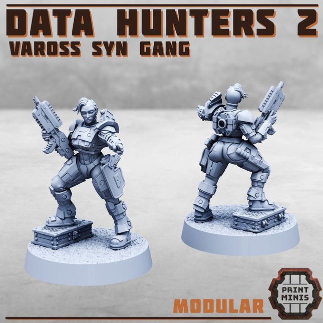 Data Hunters 2 - Vaross Syn Gang