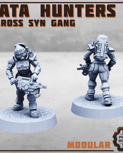 Data Hunters 2 - Vaross Syn Gang