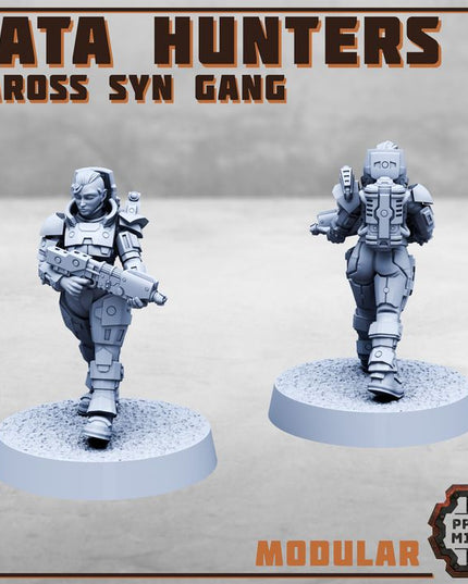 Data Hunters 2 - Vaross Syn Gang