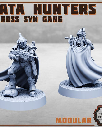 Data Hunters 2 - Vaross Syn Gang