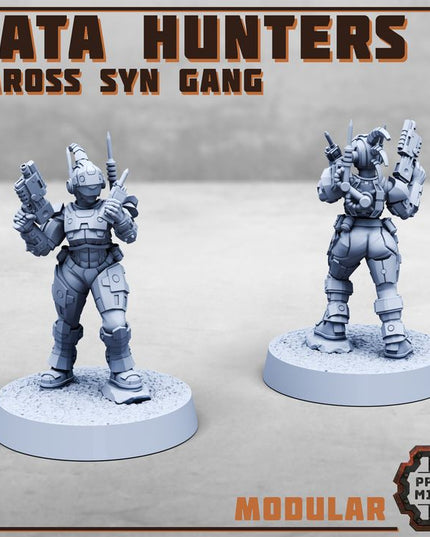 Data Hunters - Vaross Syn Gang