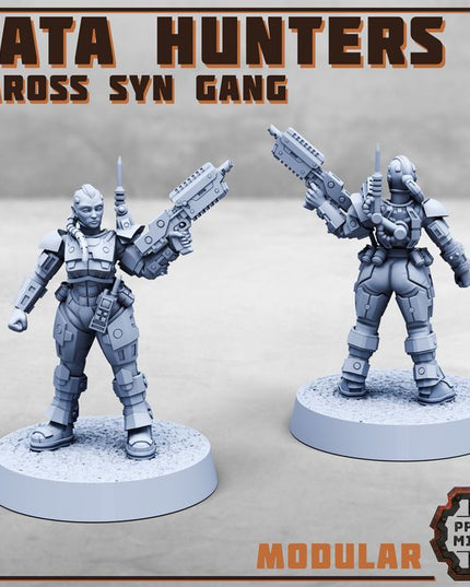 Data Hunters - Vaross Syn Gang