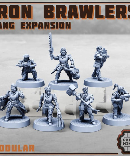 Iron Brawlers Gang Expansion