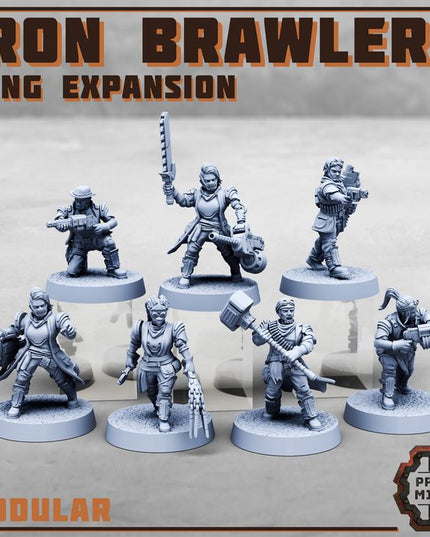 Iron Brawlers Gang Expansion