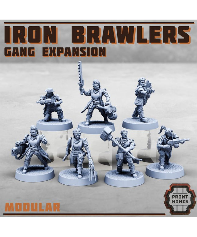 Iron Brawlers Gang Expansion