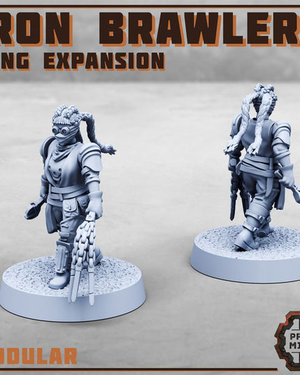 Iron Brawlers Gang Expansion