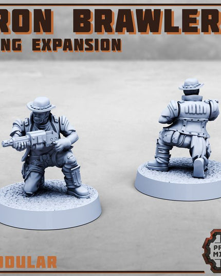 Iron Brawlers Gang Expansion