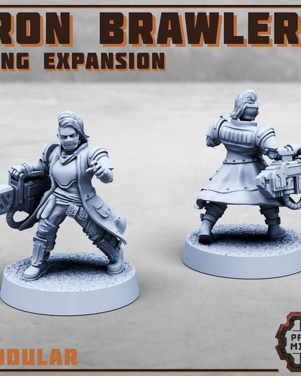 Iron Brawlers Gang Expansion