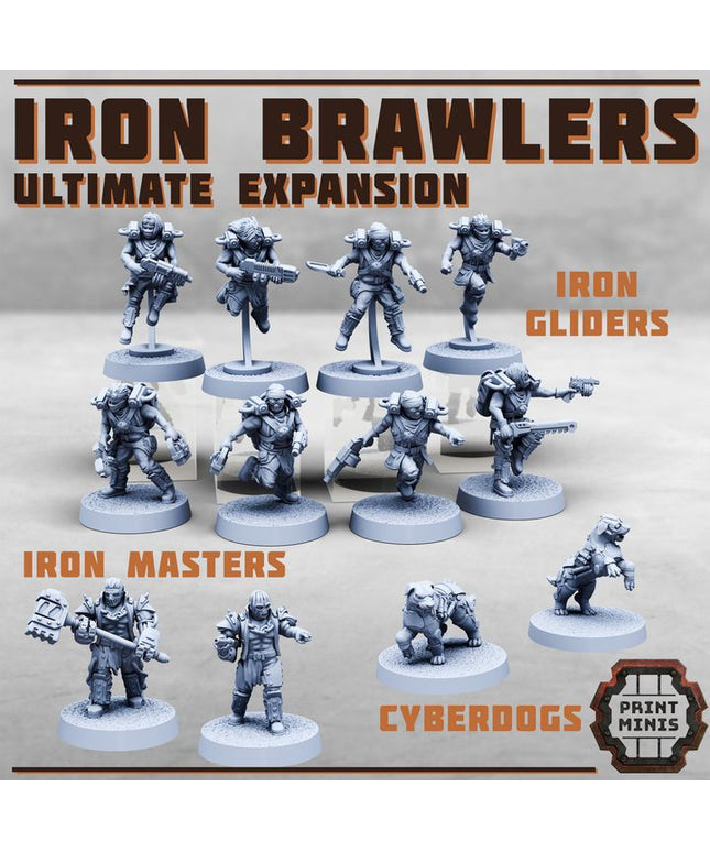 Iron Brawlers - Ultimate Expansion