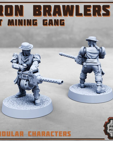 Iron Brawlers Gang