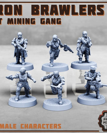 Iron Brawlers Gang
