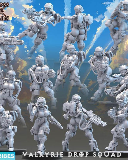 Valkyrie Drop Squad