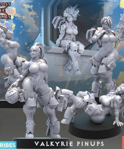 Valkyrie Pinups