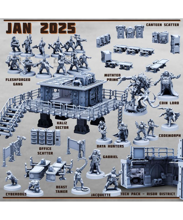 January 2025 Collection